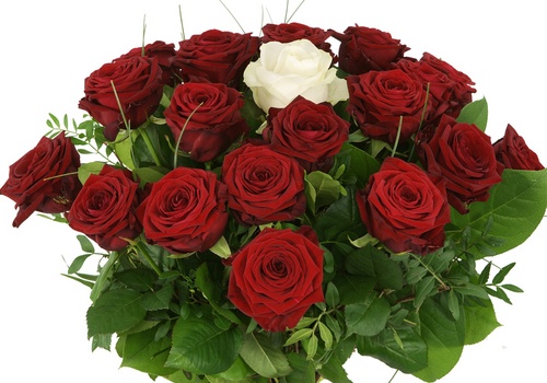 Schema Verzadigen Zoeken Rode rozen met één witte roos bestel je bij BoeketCadeau.nl