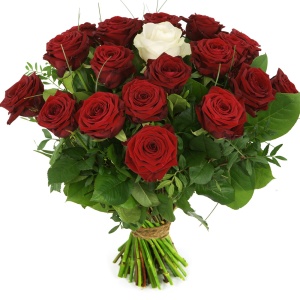 Schema Verzadigen Zoeken Rode rozen met één witte roos bestel je bij BoeketCadeau.nl