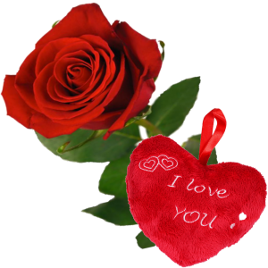 1 Rode roos bestellen samen hart BoeketCadeau.nl