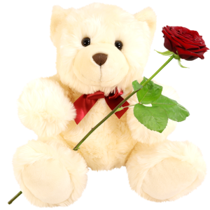 rol hurken Afkorting Witte grote knuffelbeer 50cm + verse rode roos bestellen