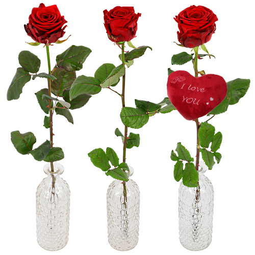 dynamisch technisch Poging 1 of 2 of 3 rode Valentijn rozen in een rozenvaas Snelle levering mogelijk,  ook op zondag – Bloemenwinkels online