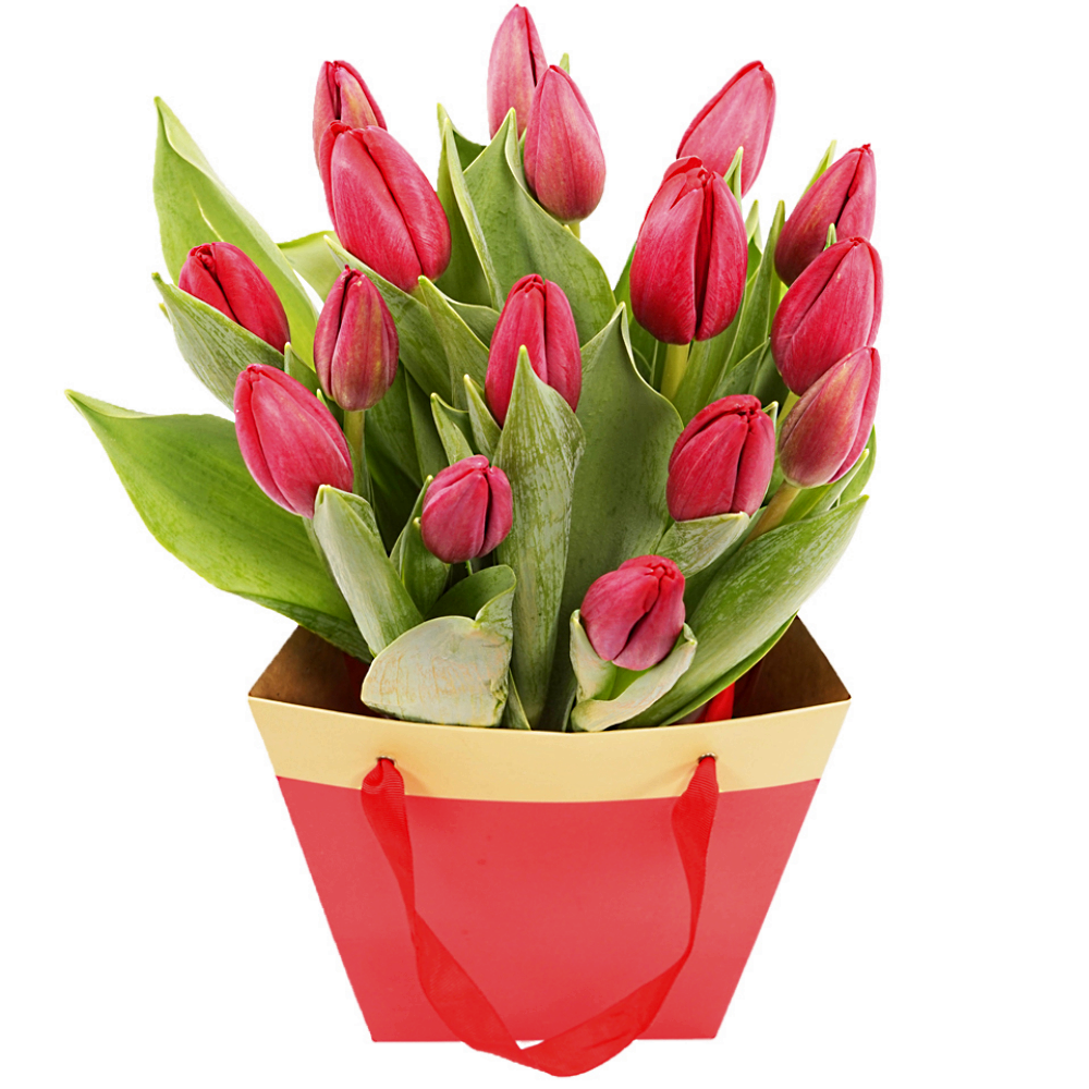 Rode tulpen in een tasje bezorgen