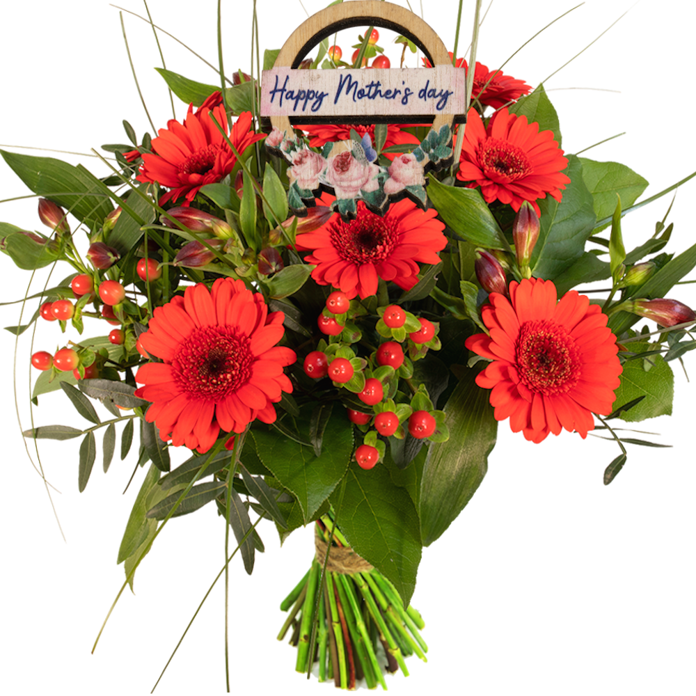 Rood voordeel boeket met bijsteker "Happy mothersday"