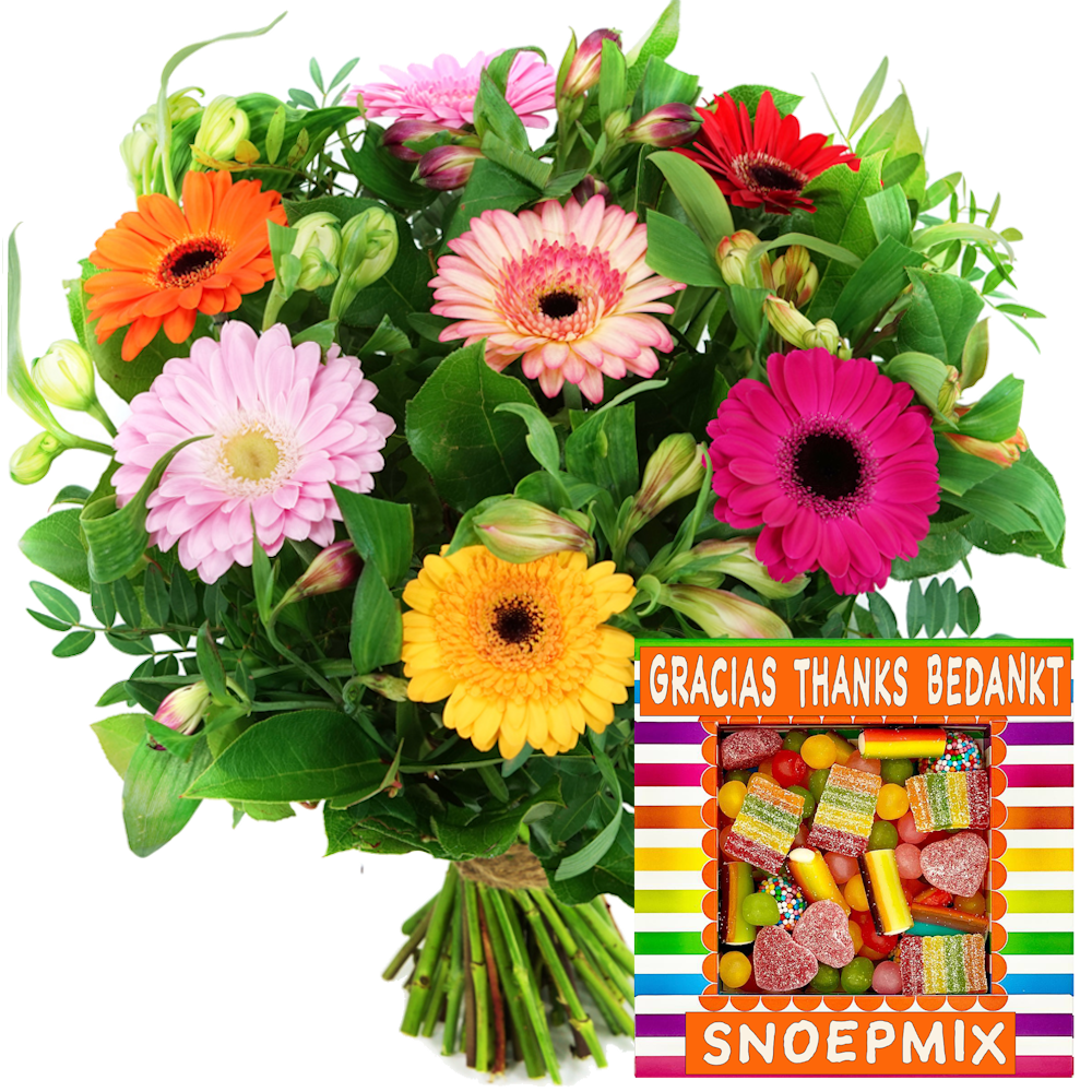 Bedankt voordeel boeket bonte gerbera&apos;s + Bedankt snoepmix